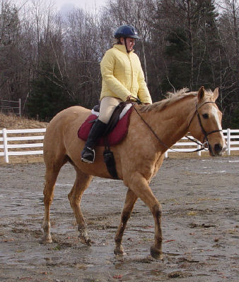 Riding in the outdoor arena